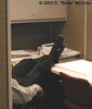 Highlight for Album: Miscellaneous foot and sock pics