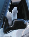 Highlight for Album: Sleeping Cabbies