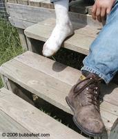 06062249