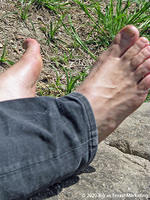 20042766