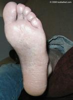 06113036